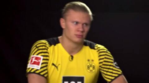 28球，B费升至葡萄牙队史射手榜第六位（B费收获28球，升至葡萄牙队史射手榜第六）